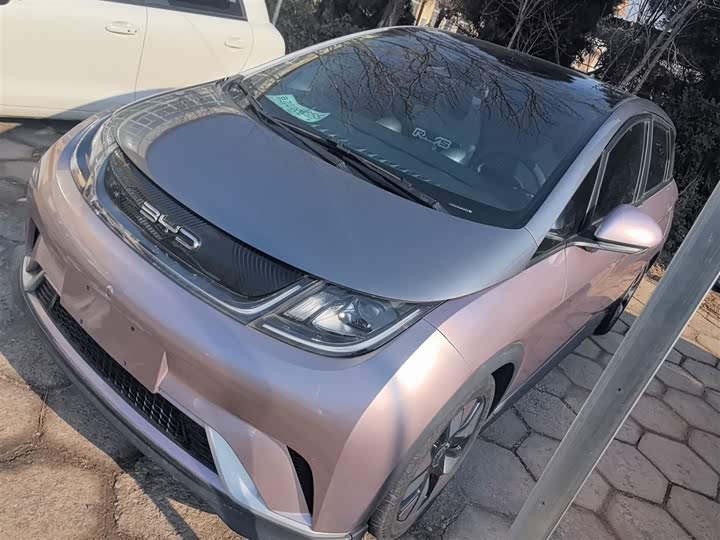 Фото 1 - BYD Dolphin