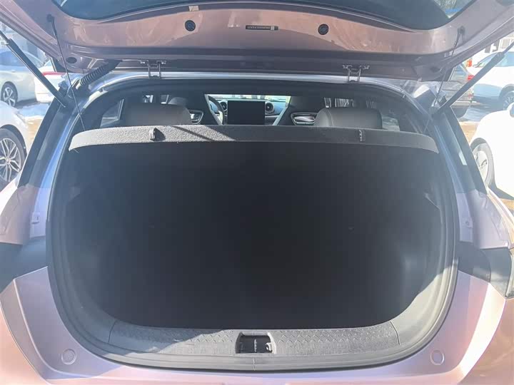 Фото 19 - BYD Dolphin