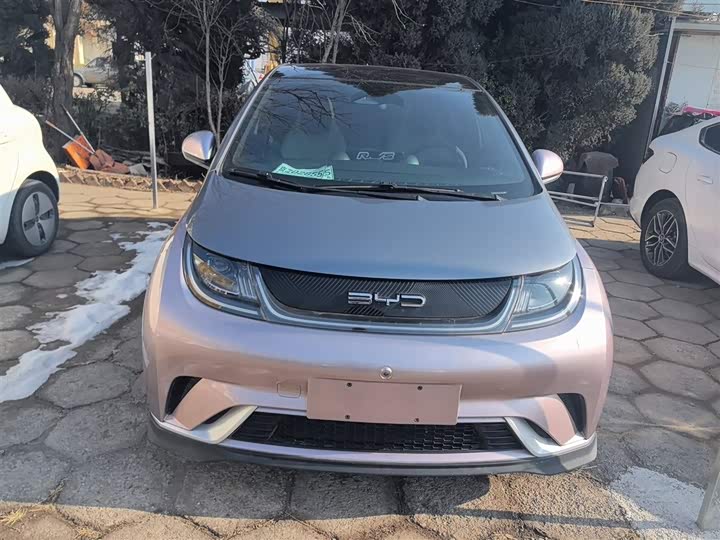 Фото 3 - BYD Dolphin