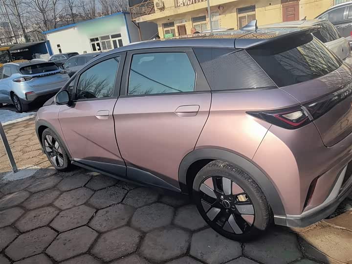 Фото 5 - BYD Dolphin