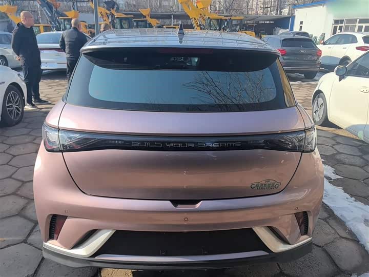 Фото 6 - BYD Dolphin