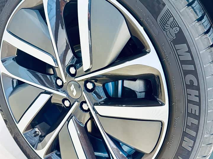 Фото 9 - LiXiang L9