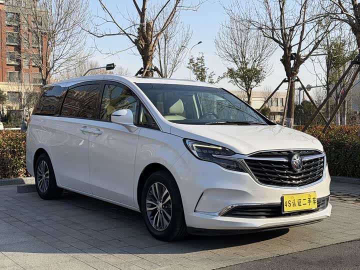 Фото 1 - Buick GL8 ES