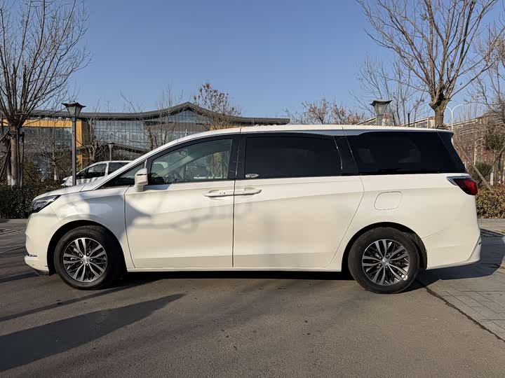 Фото 13 - Buick GL8 ES