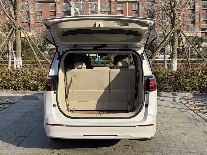 Фото 14 - Buick GL8 ES