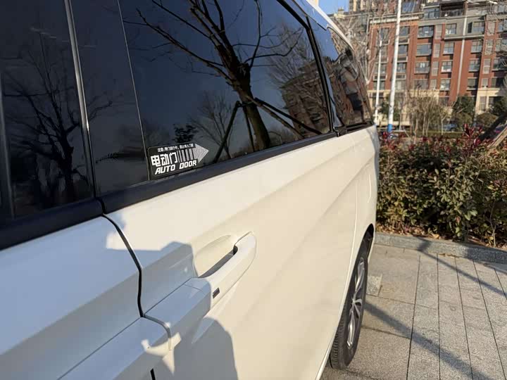 Фото 27 - Buick GL8 ES