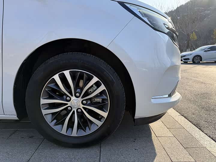 Фото 28 - Buick GL8 ES