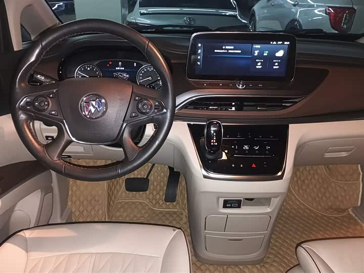 Фото 10 - Buick GL8 ES