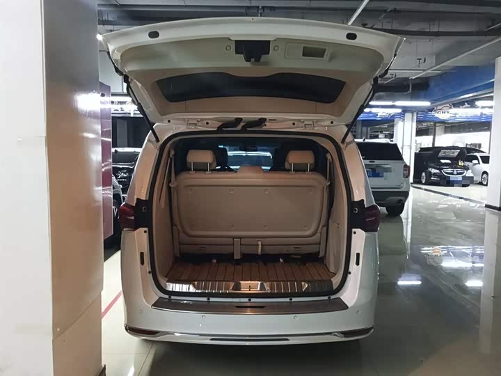 Фото 19 - Buick GL8 ES