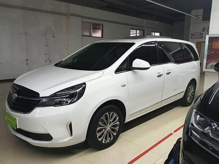 Фото 5 - Buick GL8 ES