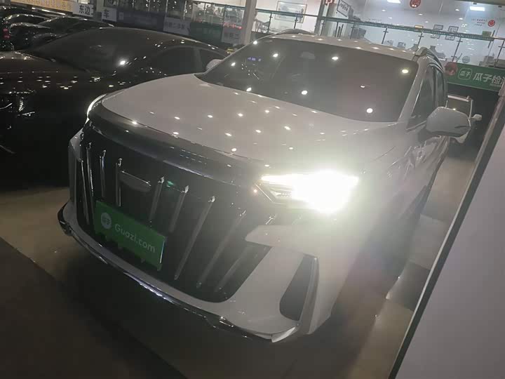 Фото 1 - Geely Okavango L