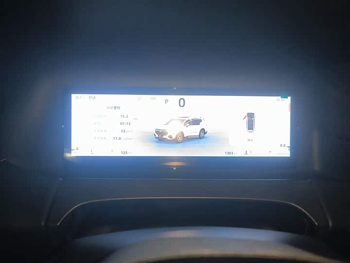 Фото 12 - Geely Okavango L