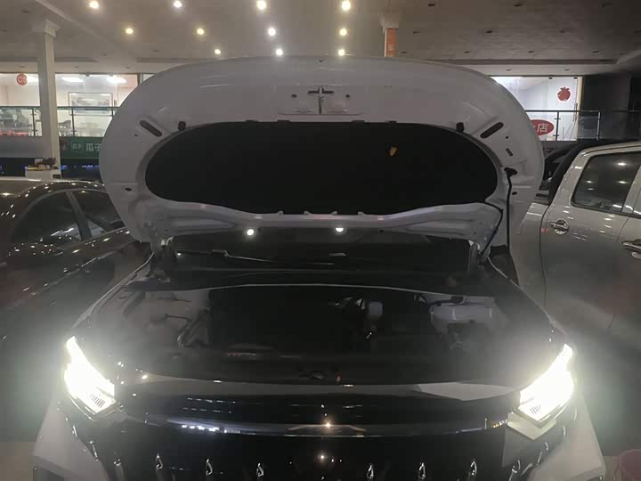 Фото 20 - Geely Okavango L