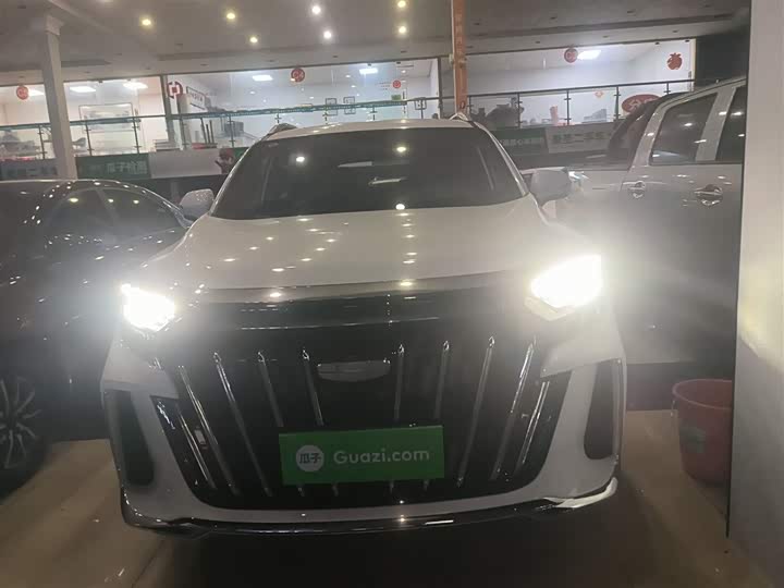 Фото 3 - Geely Okavango L