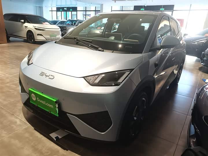 Фото 2 - BYD Seagull