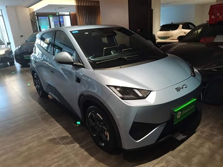 Фото 4 - BYD Seagull