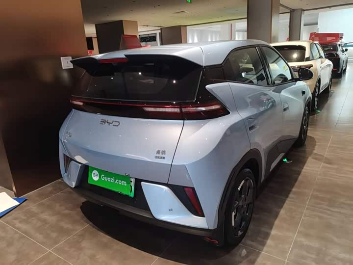 Фото 7 - BYD Seagull