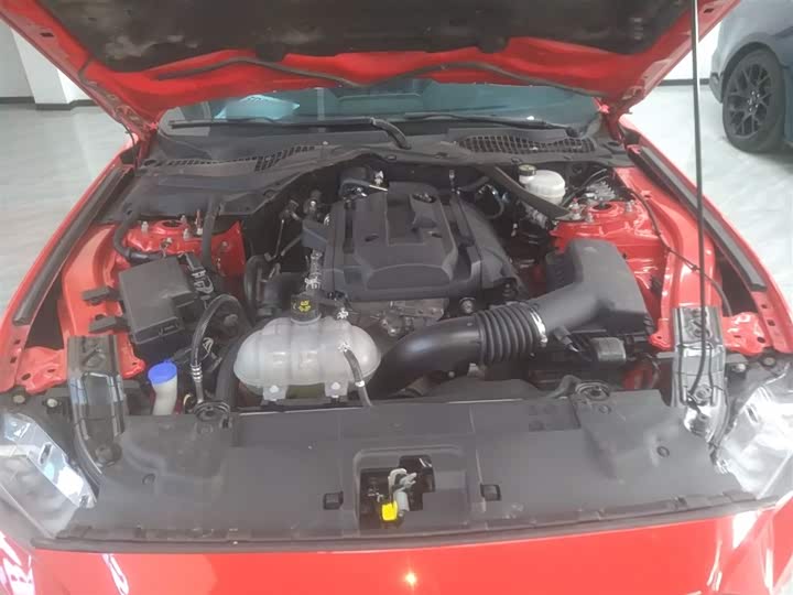 Фото 20 - Ford Mustang