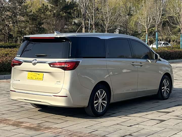 Фото 4 - Buick GL8 ES