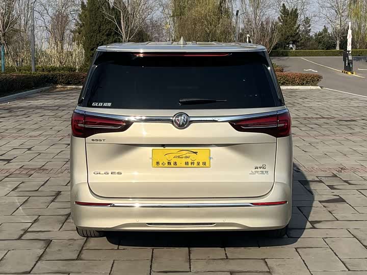 Фото 5 - Buick GL8 ES