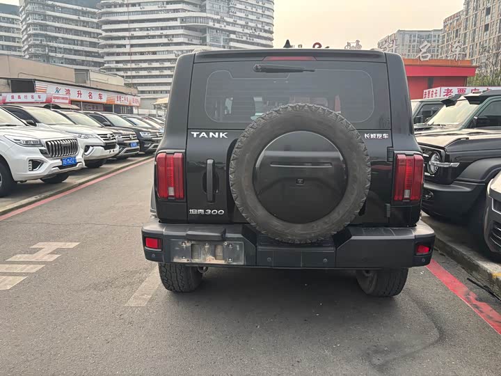 Фото 5 - Tank 300