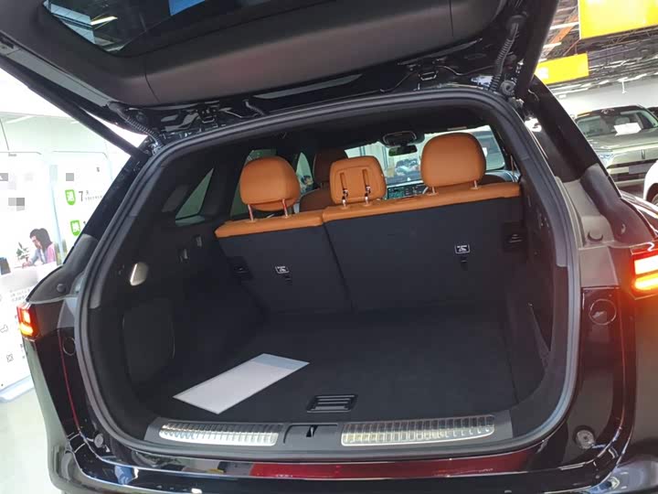 Фото 19 - XPeng G9