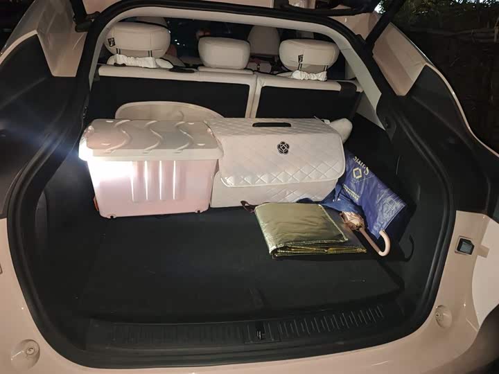 Фото 17 - IM motors LS6