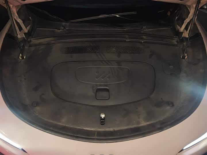 Фото 18 - IM motors LS6