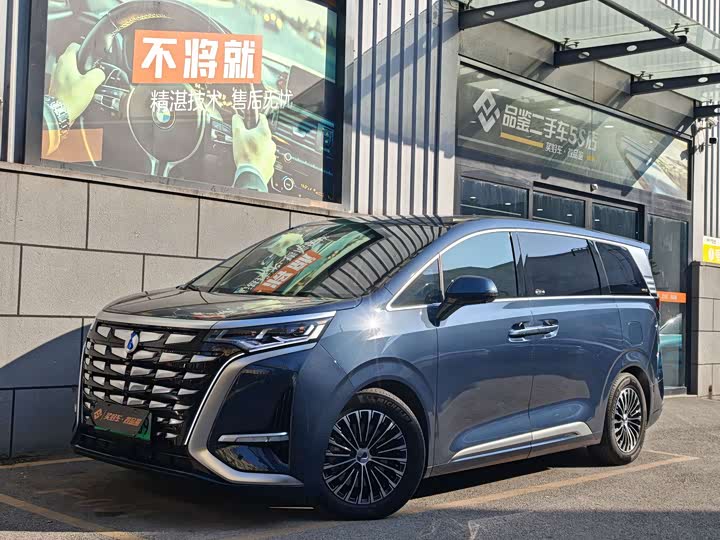 Фото 1 - Denza D9