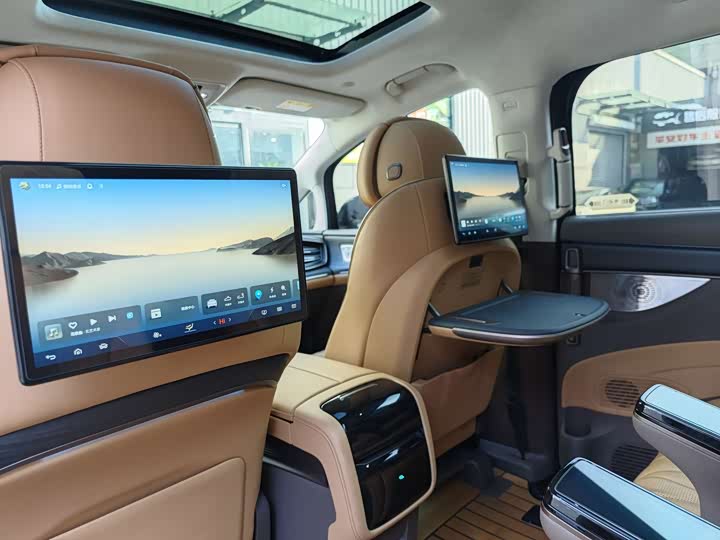 Фото 10 - Denza D9