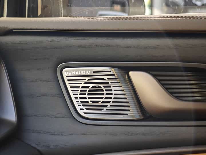 Фото 15 - Denza D9