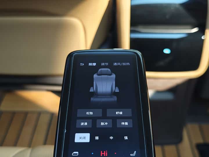 Фото 16 - Denza D9