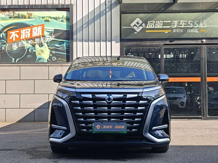 Фото 2 - Denza D9