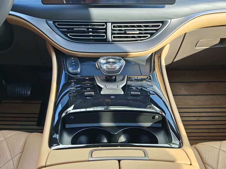 Фото 20 - Denza D9