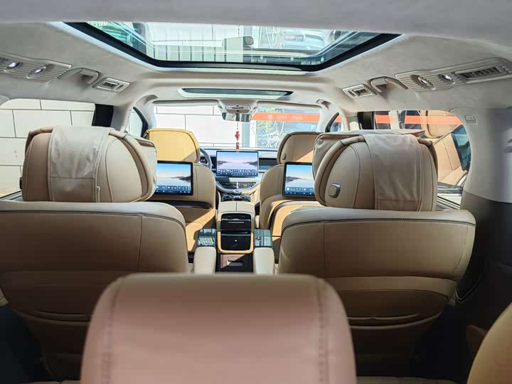 Фото 23 - Denza D9