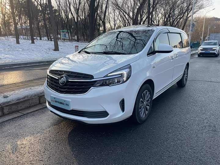 Фото 1 - Buick GL8 ES