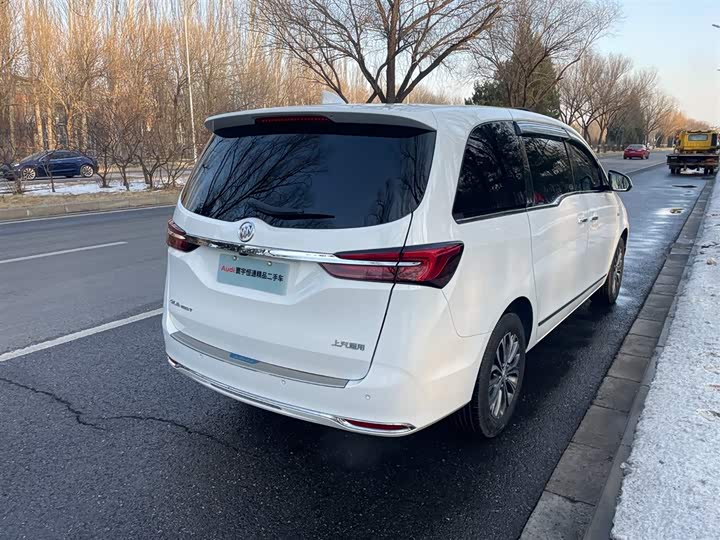 Фото 6 - Buick GL8 ES