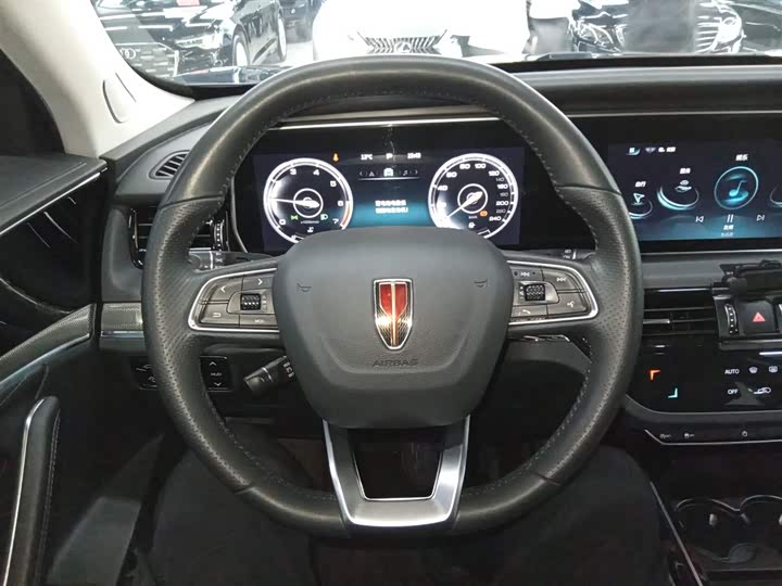 Фото 11 - Hongqi HS5