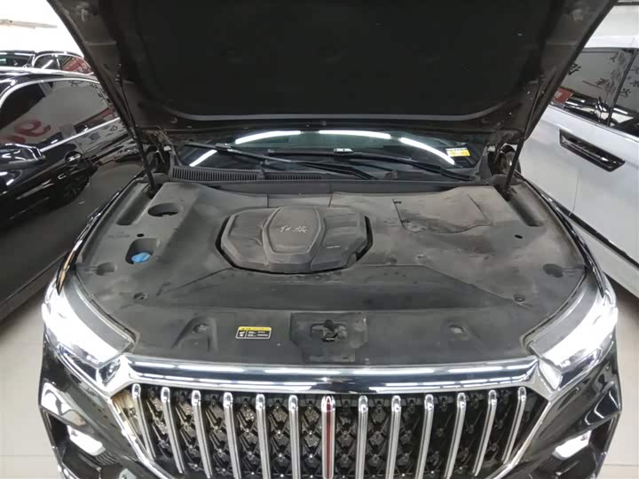 Фото 20 - Hongqi HS5