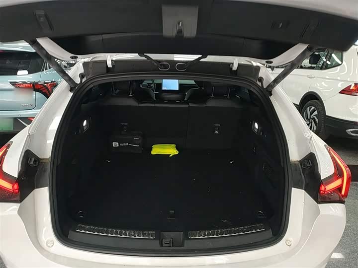 Фото 19 - Hozon S Hunting