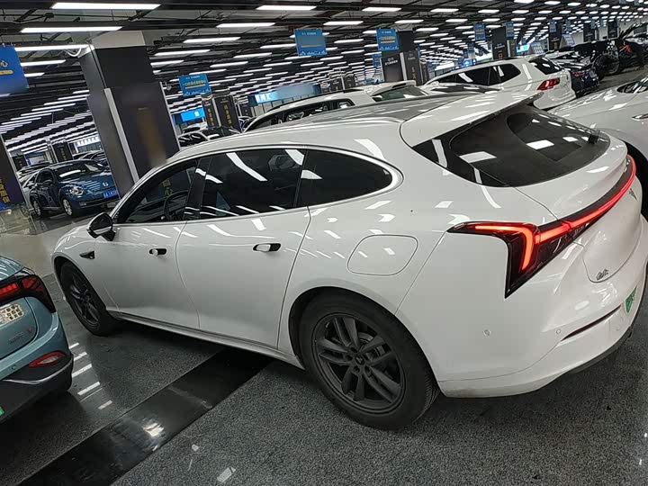 Фото 5 - Hozon S Hunting