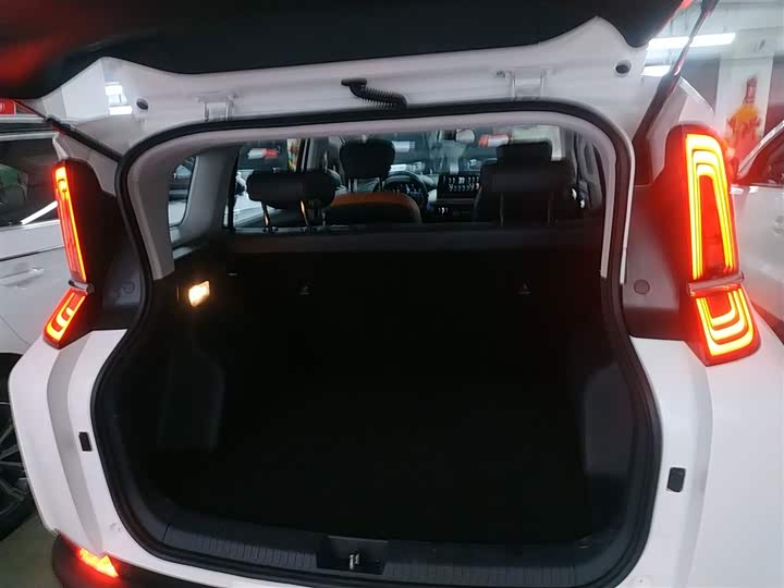 Фото 19 - Bestune NAT