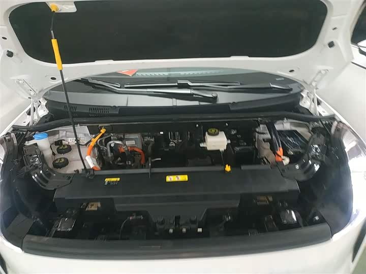 Фото 20 - Bestune NAT