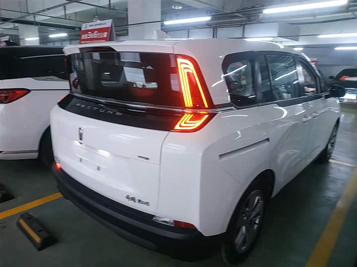 Фото 7 - Bestune NAT