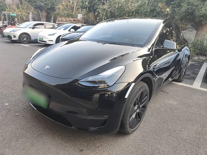 Фото 2 - Tesla Model Y