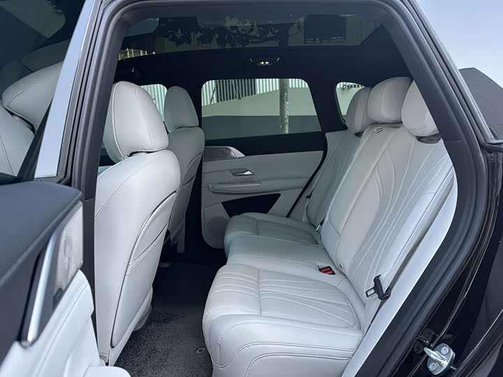 Фото 17 - XPeng G9