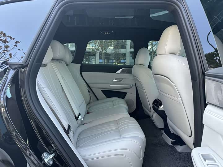 Фото 18 - XPeng G9