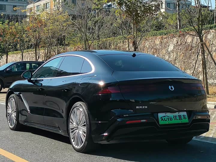 Фото 9 - Denza Z9