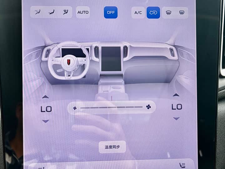 Фото 15 - Hongqi HS3