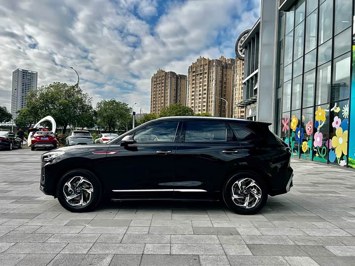 Фото 3 - Hongqi HS3